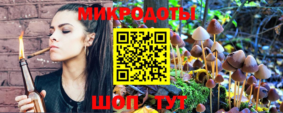 цена наркотик  Галлюциногенные грибы MAGIC MUSHROOMS  Вход с VPN  Сунжа 