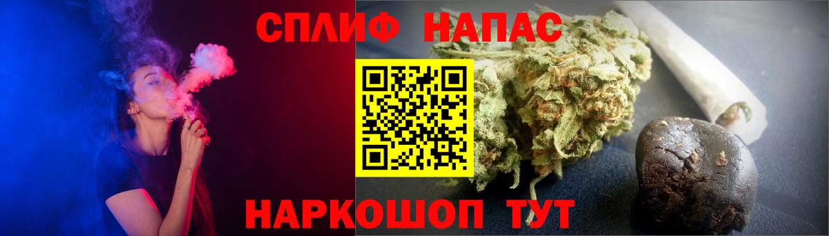 Каннабис OG Kush Сунжа